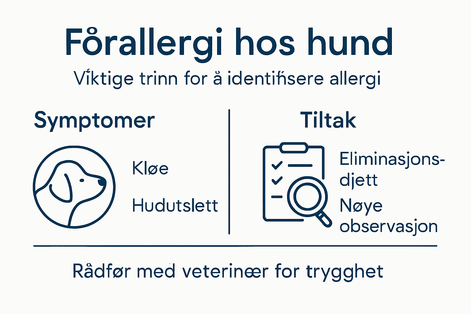 Infografikk som viser de viktigste stegene for å oppdage matallergi hos hund