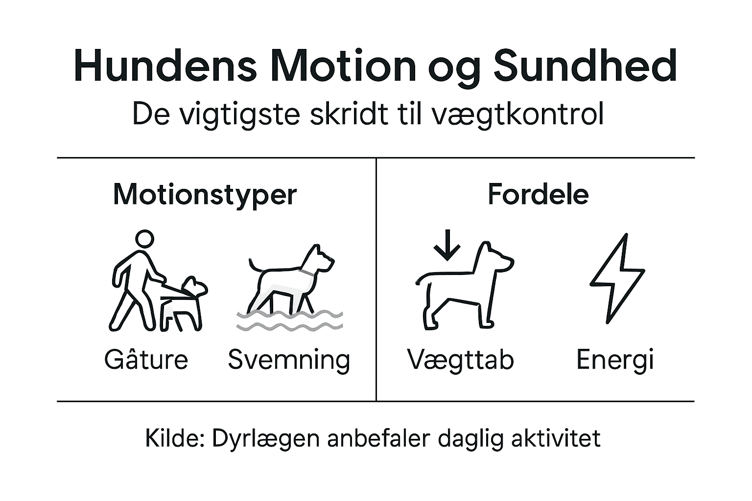 Faktaark: Sådan holder du din hund sund og i god form