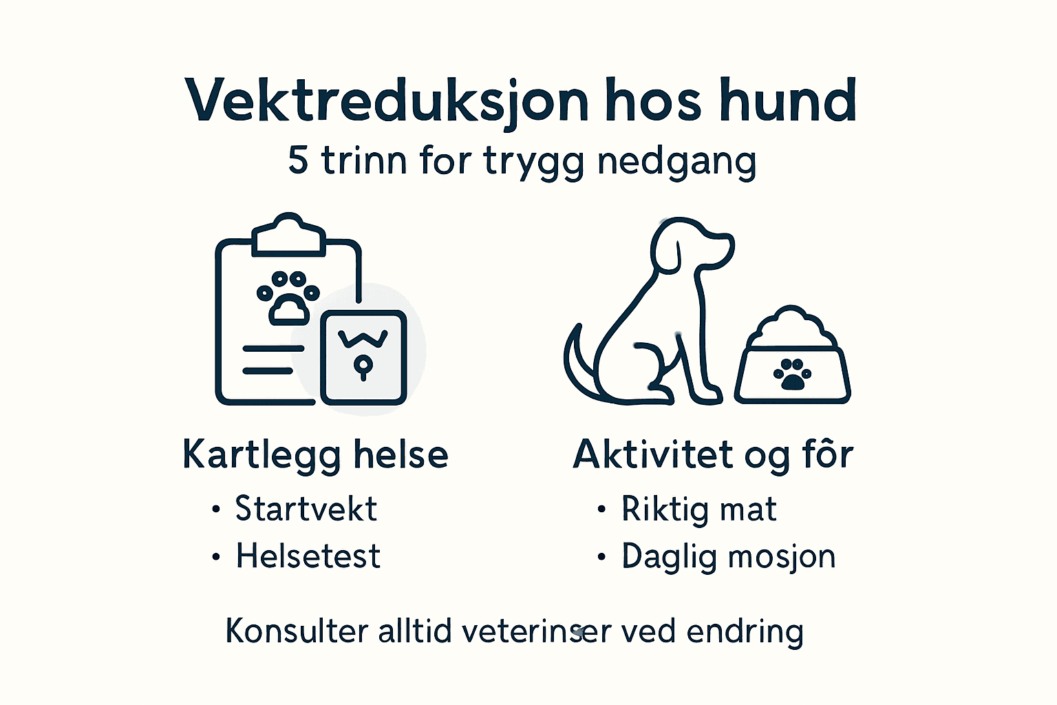 Oversiktlig infografikk som viser de viktigste trinnene for å følge med på hundens vekt
