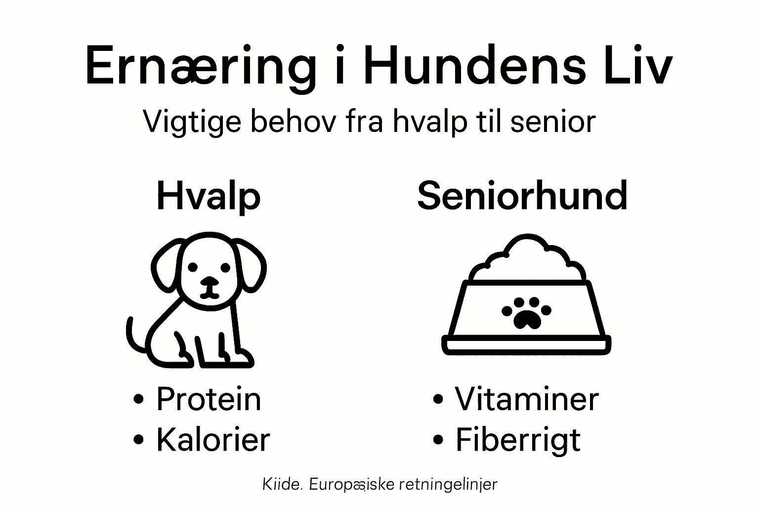 Sådan dækker du din hunds ernæringsbehov – en oversigt i grafik