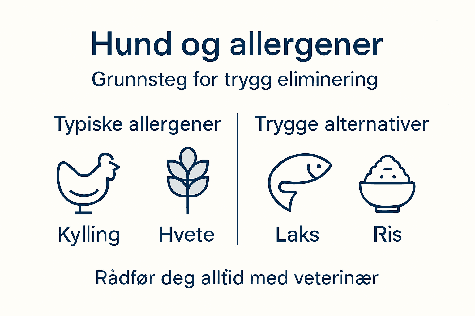 Infografikk: Slik blir du kvitt hundeallergener – trinn for trinn