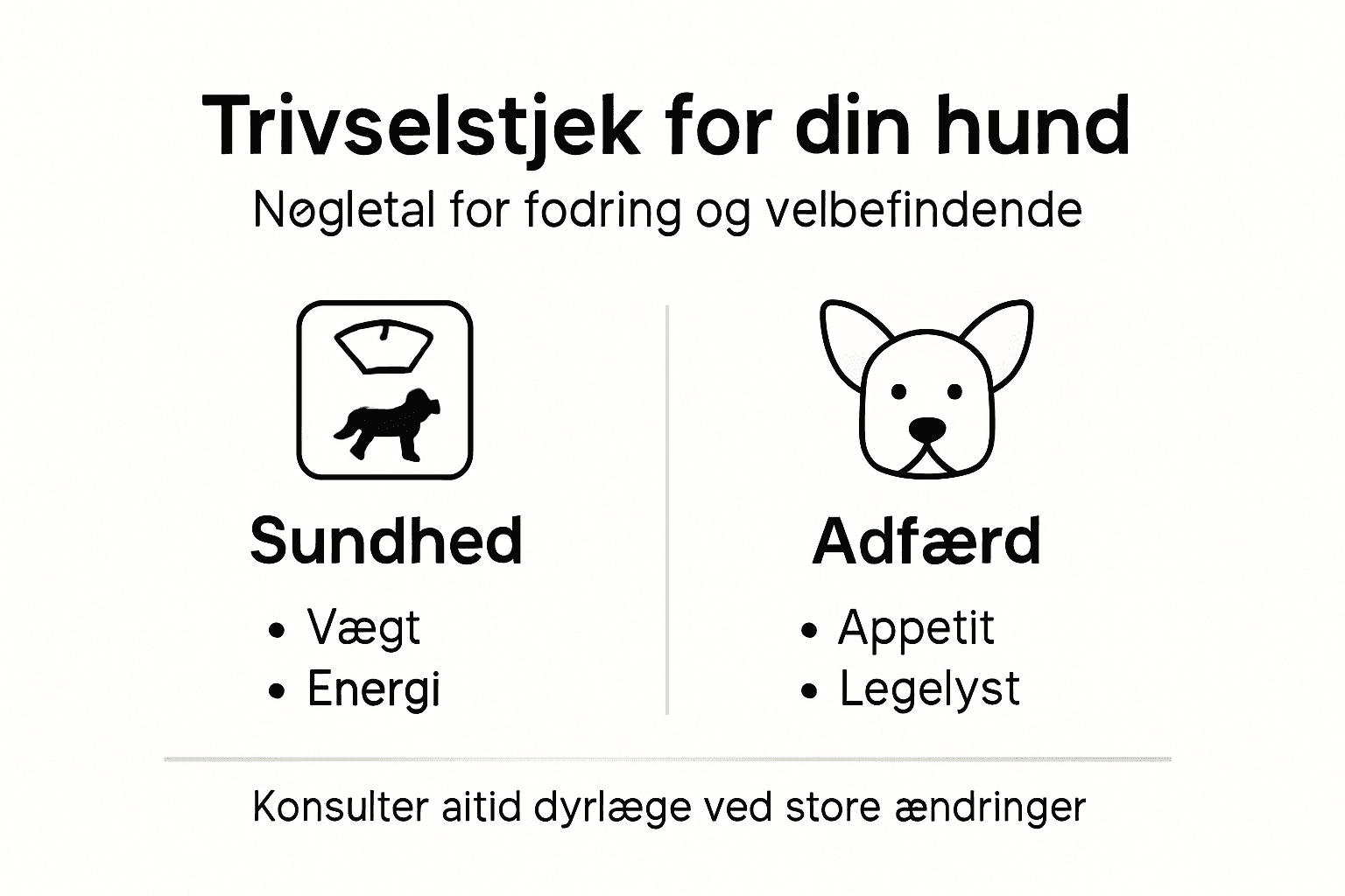 Infografik: Sådan holder du øje med din hunds trivsel