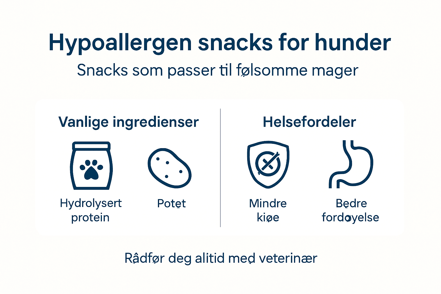Infografikk: Dette bør du vite om allergivennlige hundesnacks