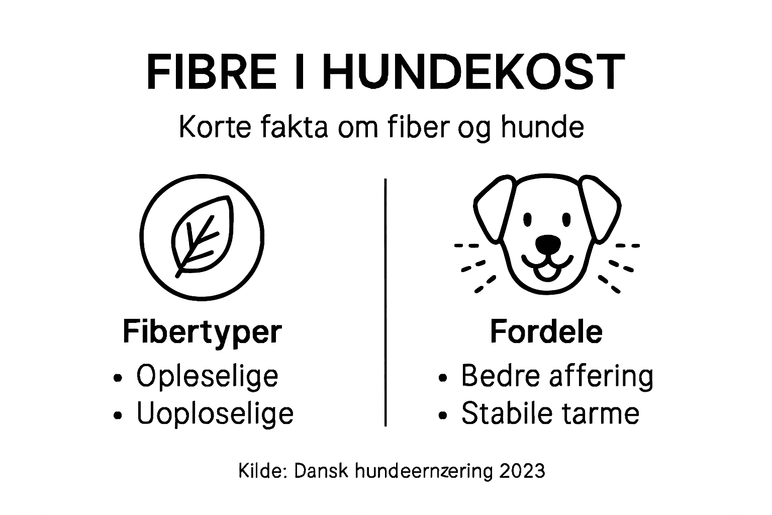 Oversigt: Forskellige typer fibre og deres betydning for din hunds kost