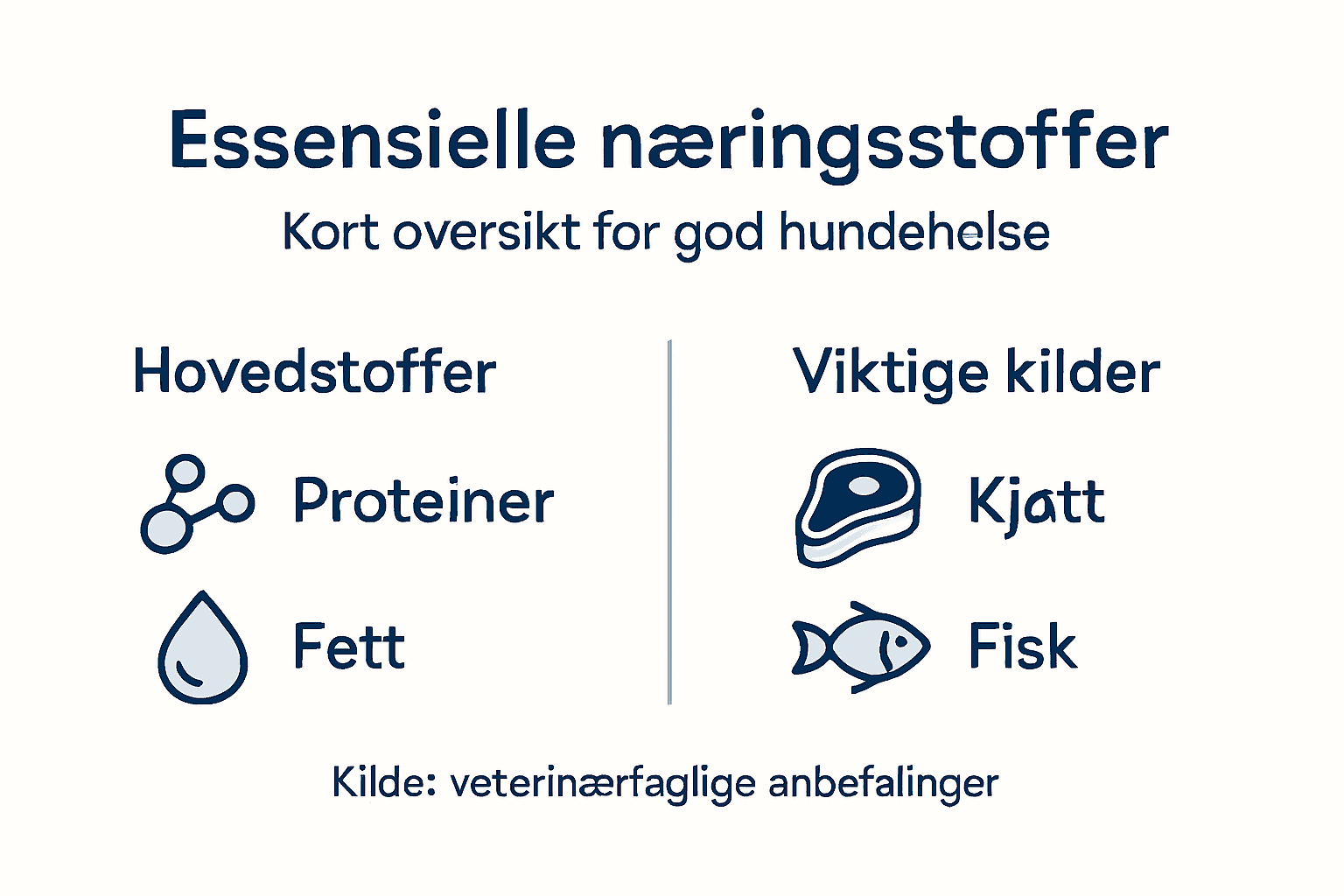 Oversikt over viktige næringsstoffer hunden din trenger