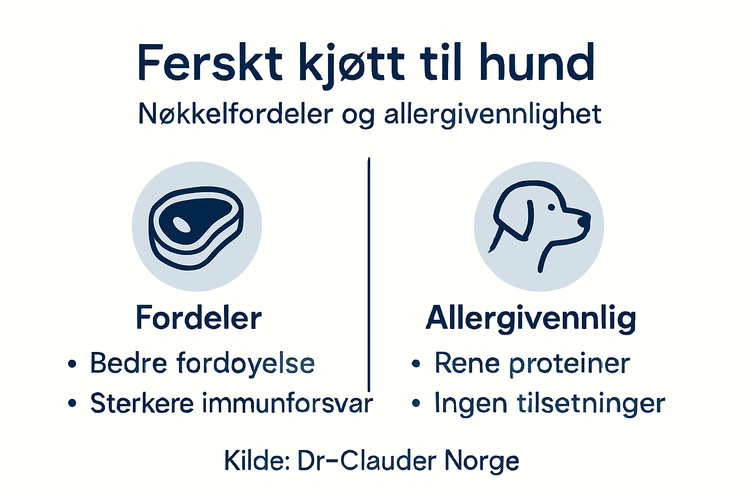 Infografikk: Kjøtt og allergivennlig hundefôr – hva bør du vite?