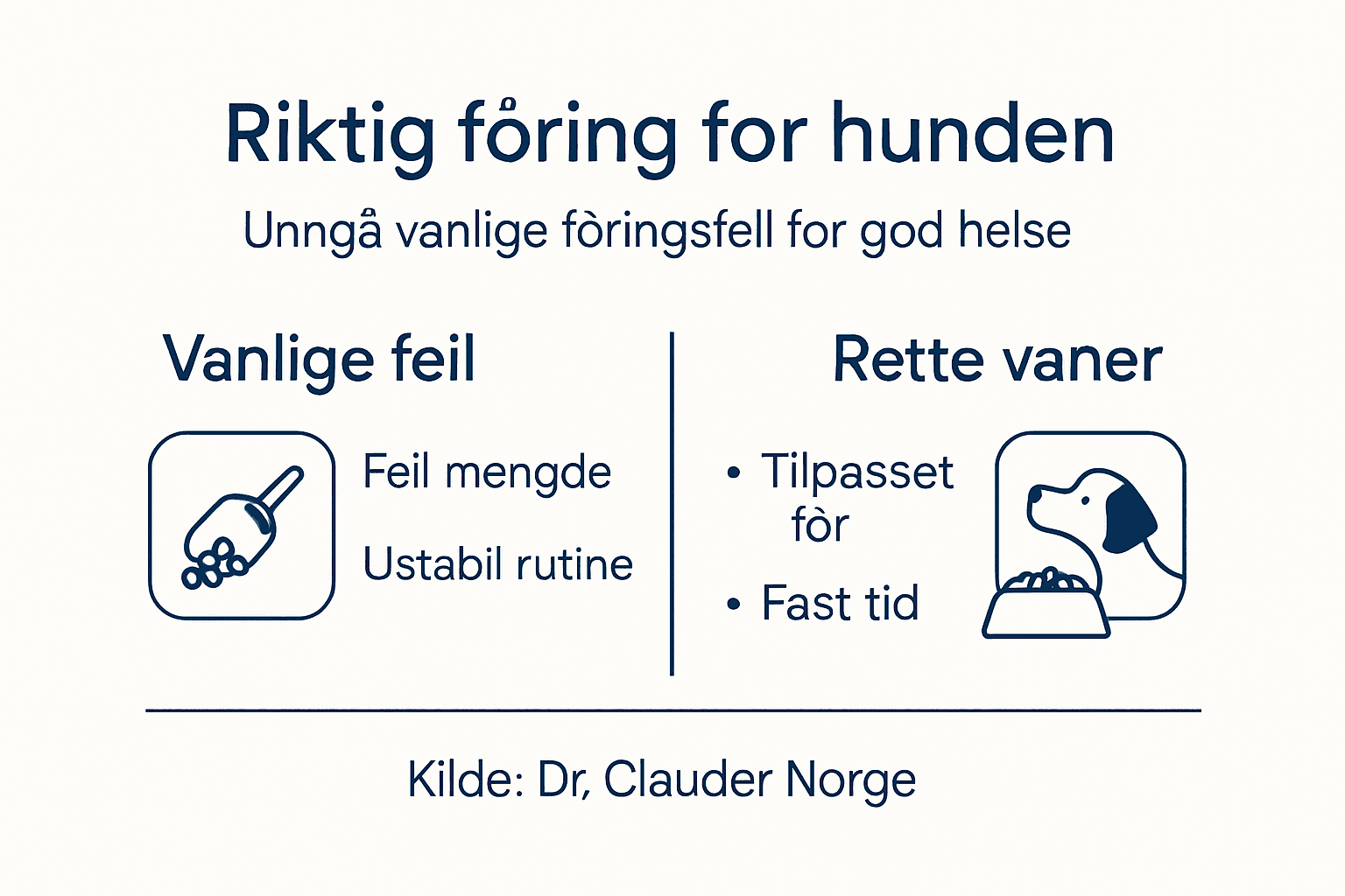 Infografikk: Tips for riktig fôring og de vanligste tabbene du bør unngå