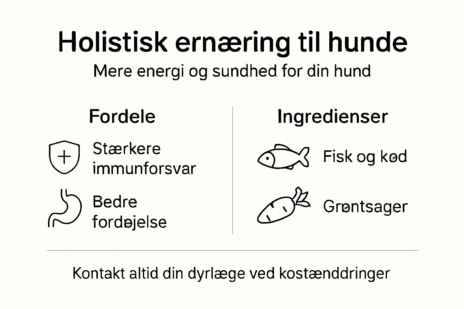Se vores grafiske oversigt over helhedsorienteret hundemad – her får du både et overblik over de vigtigste ingredienser og hvilke fordele, de giver din hund.