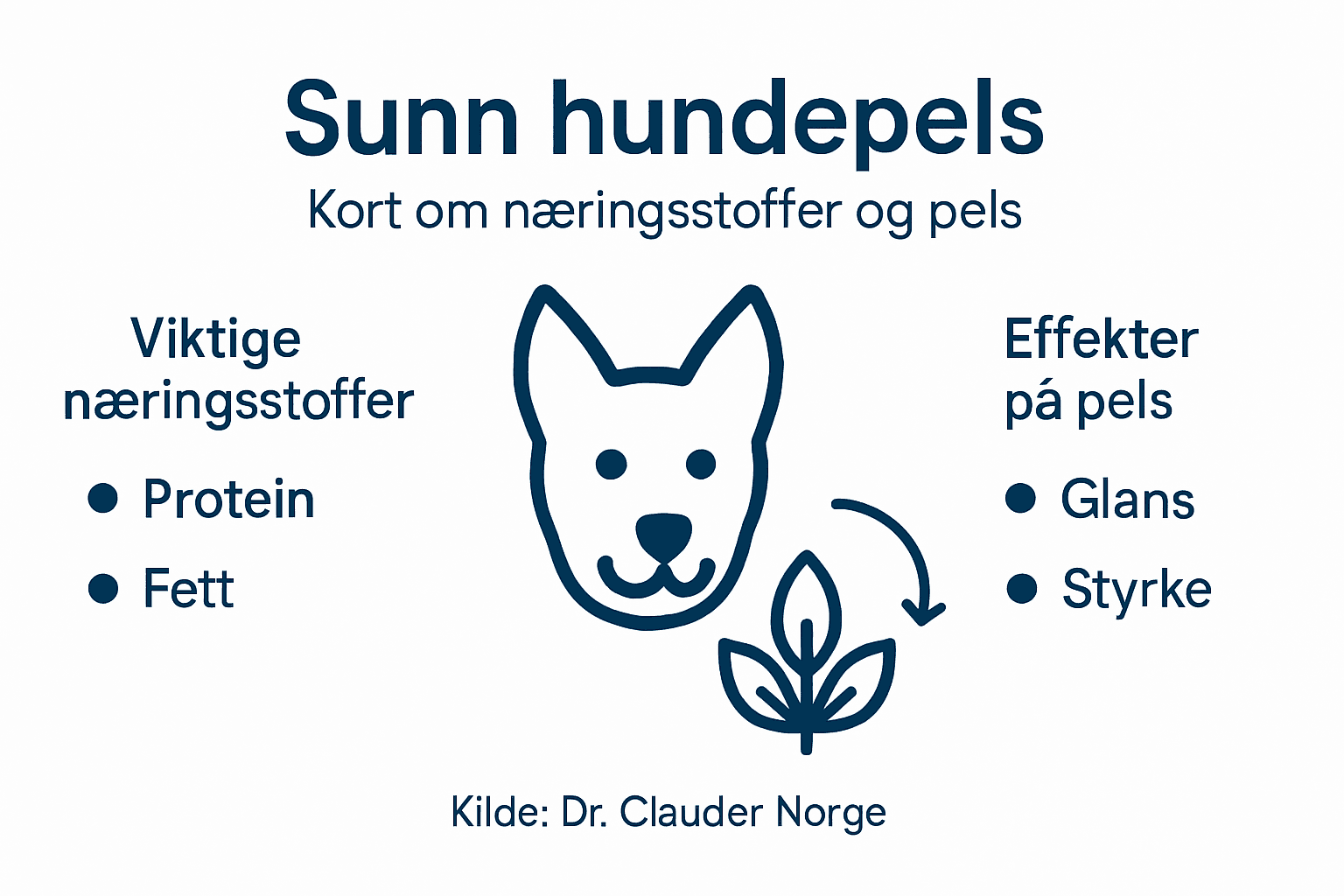 Infografikk: Slik påvirker kostholdet hundens pels og hudhelse