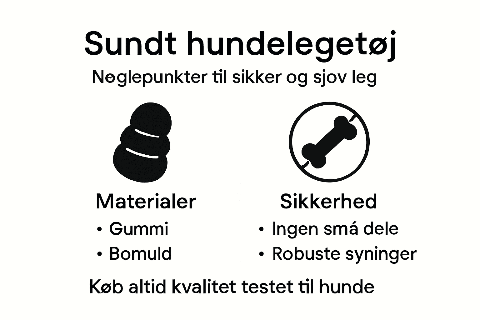 Oversigt: Gode råd til sikkert legetøj til hunden