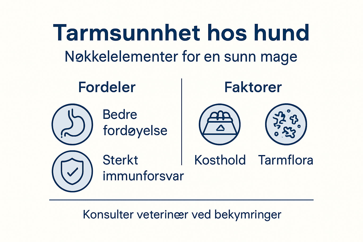 Illustrasjon som viser hva som påvirker hundens tarmhelse