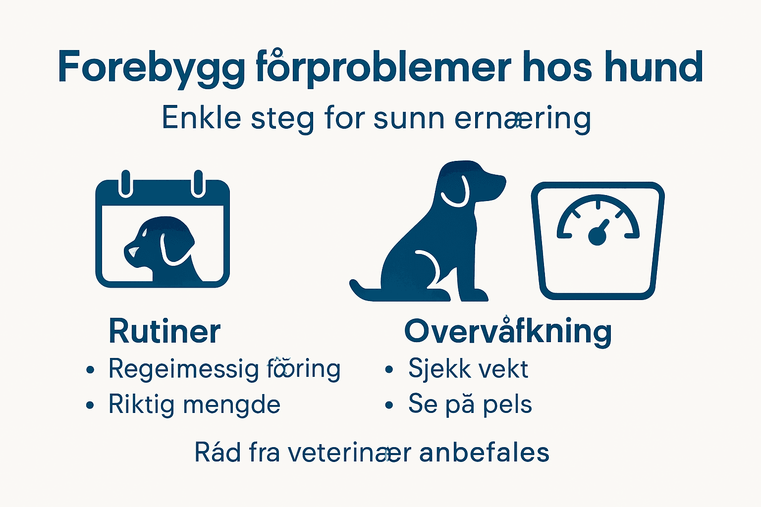 Infografikk: Slik unngår du fôrproblemer hos hunden din