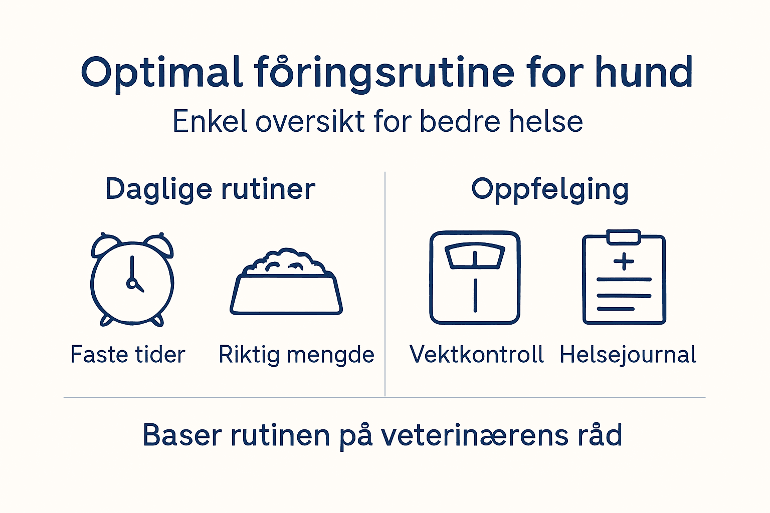 Oversiktlig infografikk som viser fôringsrutinen og de viktigste punktene du bør ha kontroll på.