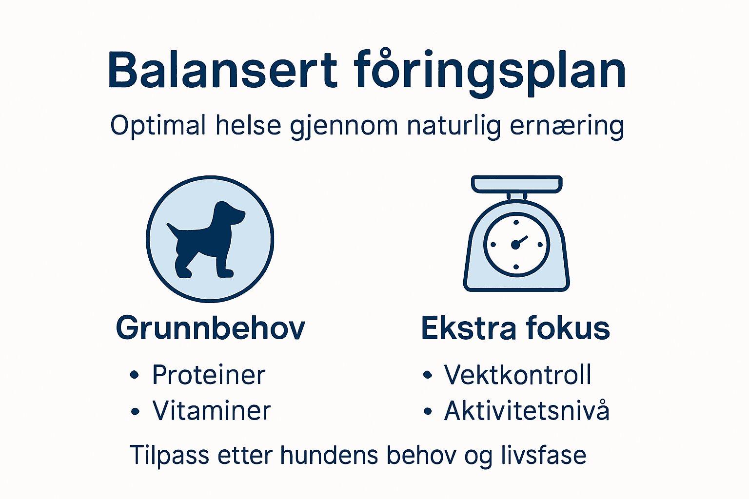 Infografikk: Slik lager du en balansert fôringsplan for hunden din