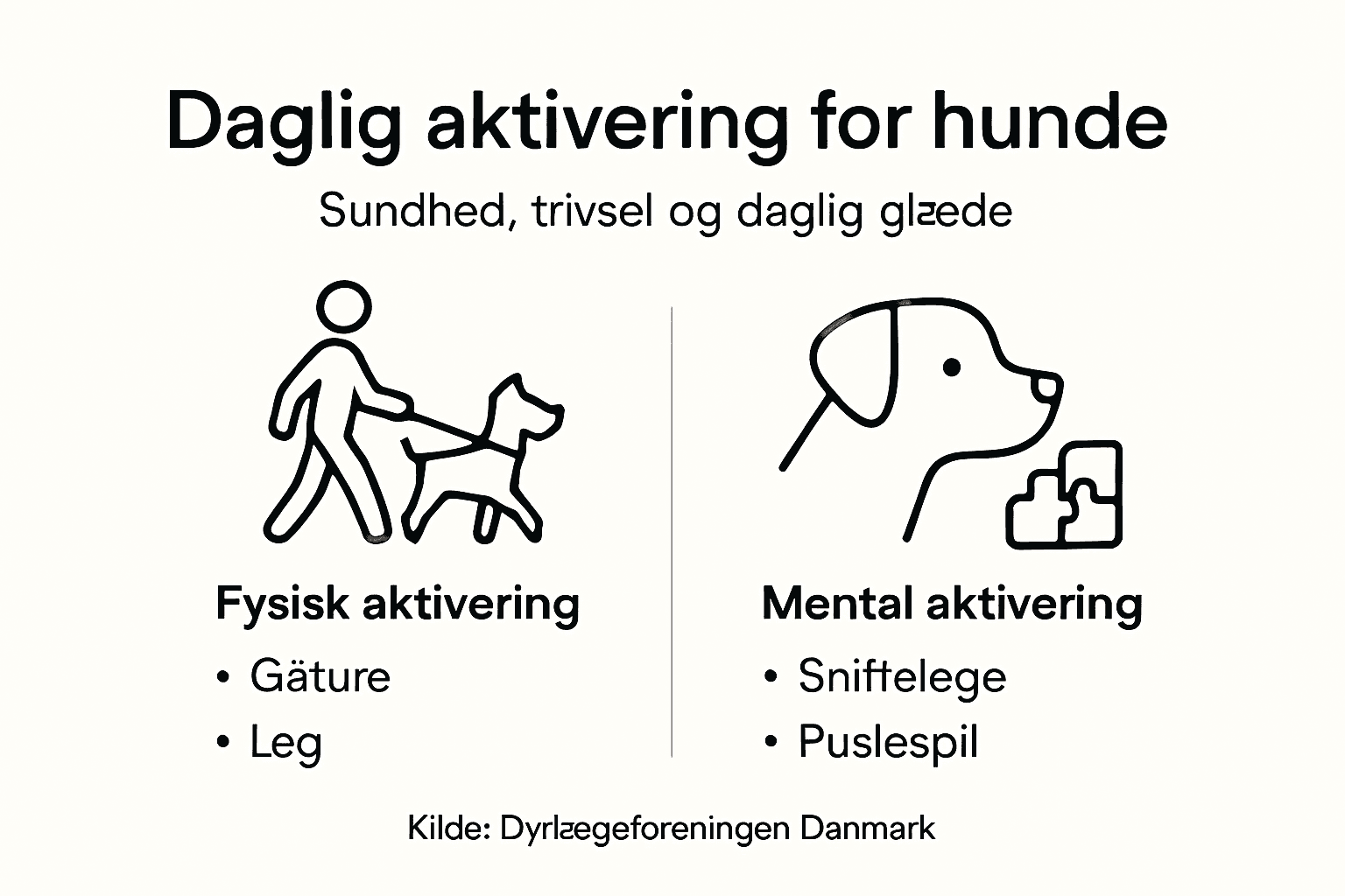 Infografik: Sådan gavner aktivering din hund – fordele og de mest populære aktivitetsformer