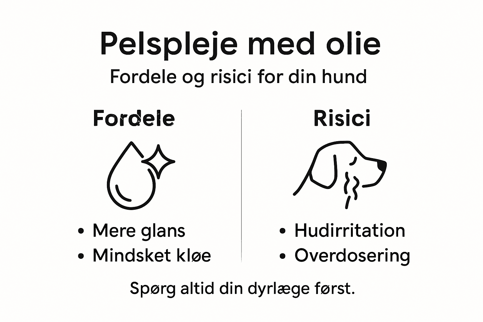 Infografik: Sådan bruger du olie til din hund – fordele og mulige risici
