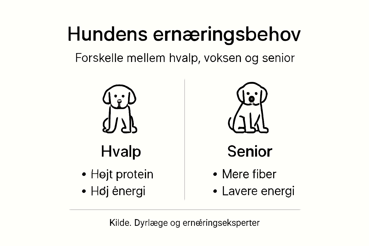 Oversigt: Sådan ændrer din hunds ernæringsbehov sig med alderen