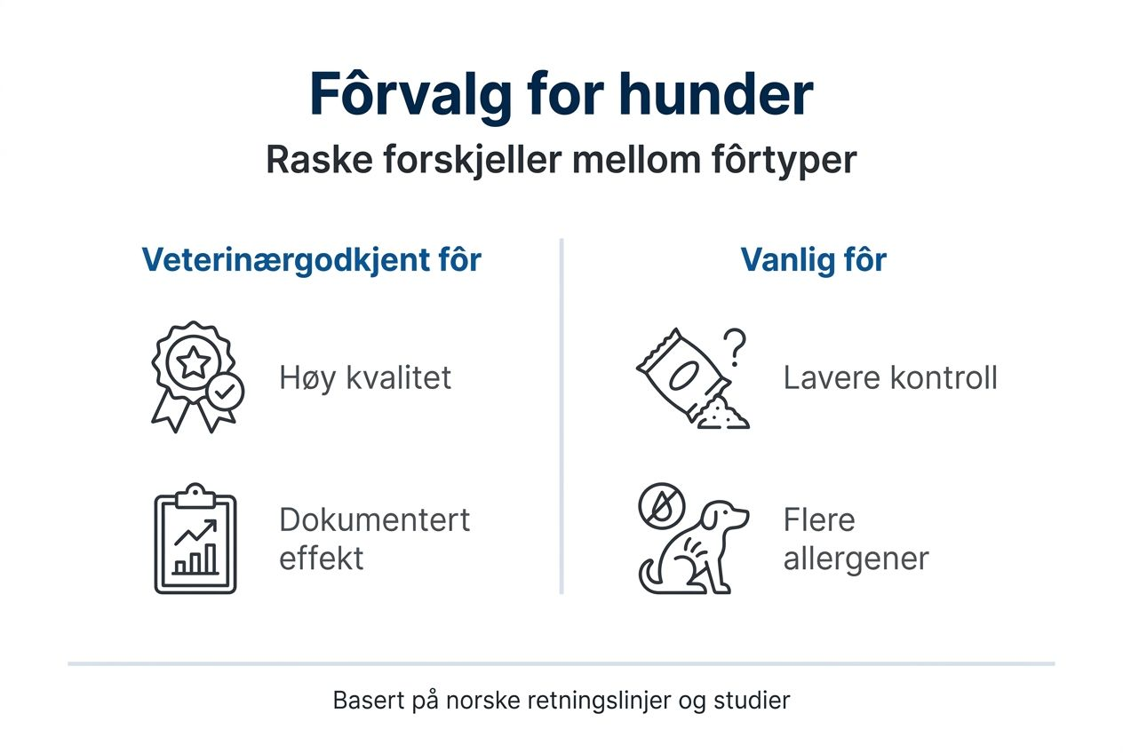 En oversiktlig infografikk som viser forskjellene mellom ulike typer hundemat