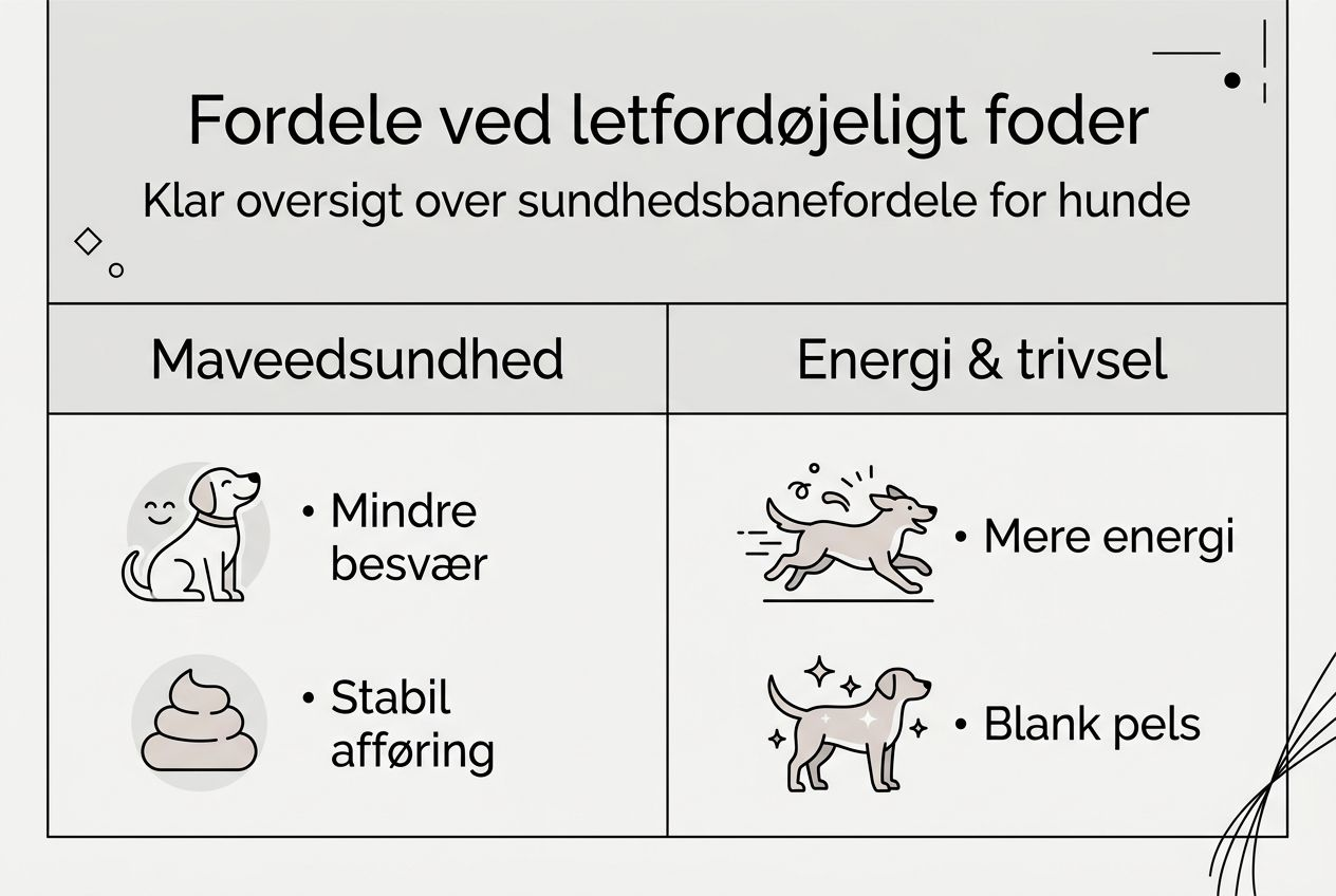 Grafisk oversigt: Derfor er letfordøjeligt hundefoder godt for din hund