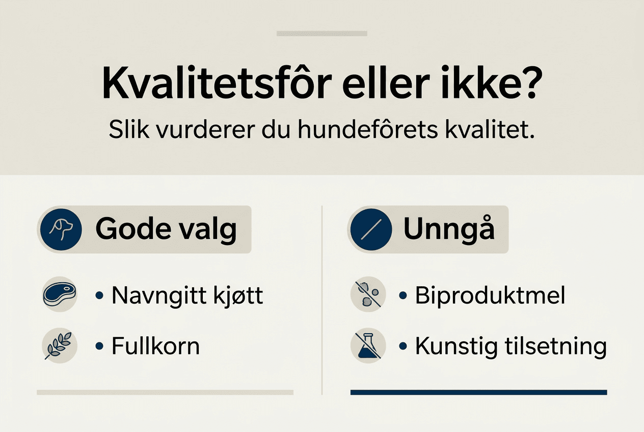 Infografikk: Slik vurderer du kvaliteten på hundemat