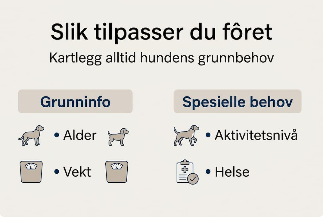 Infografikk: Viktige faktorer når du skal tilpasse fôret til hunden din