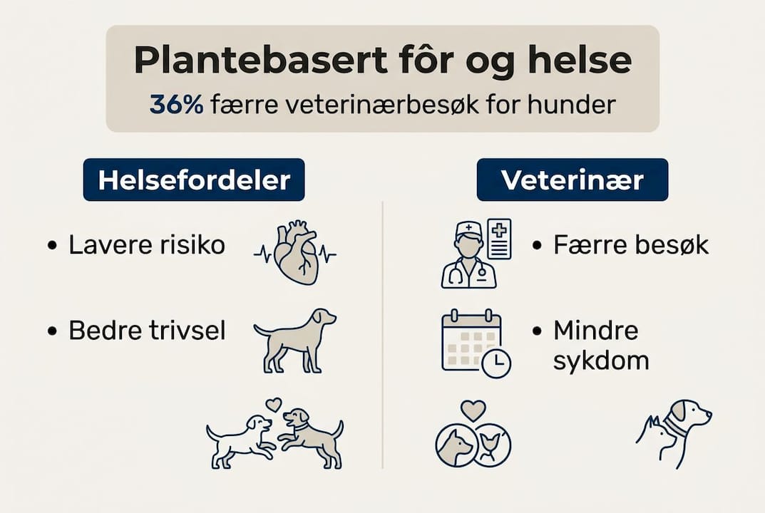 Oversikt: plantebasert fôr og hva det betyr for helsa