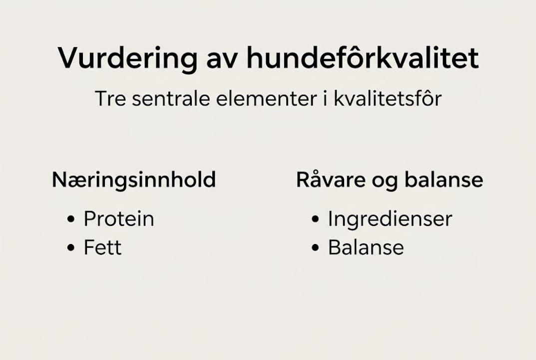 Infografikk: Viktige faktorer å vurdere når du skal bedømme kvaliteten på hundemat