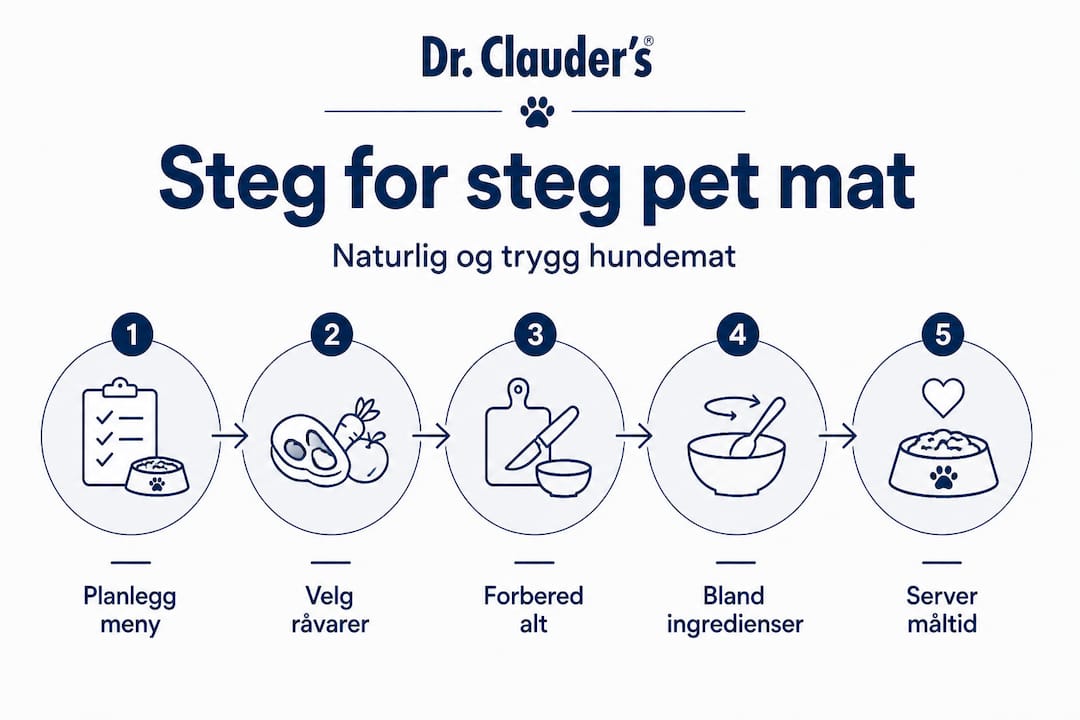 Infografikk: Slik lager du naturlig hundemat – trinn for trinn