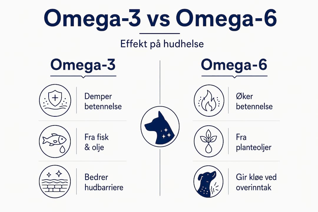 Infografikk som viser forskjeller og likheter mellom omega-3 og omega-6 for hunder