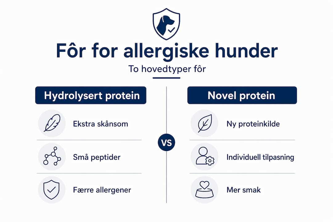 Oversiktlig infografikk som viser forskjeller mellom ulike typer hundefôr tilpasset allergiske hunder