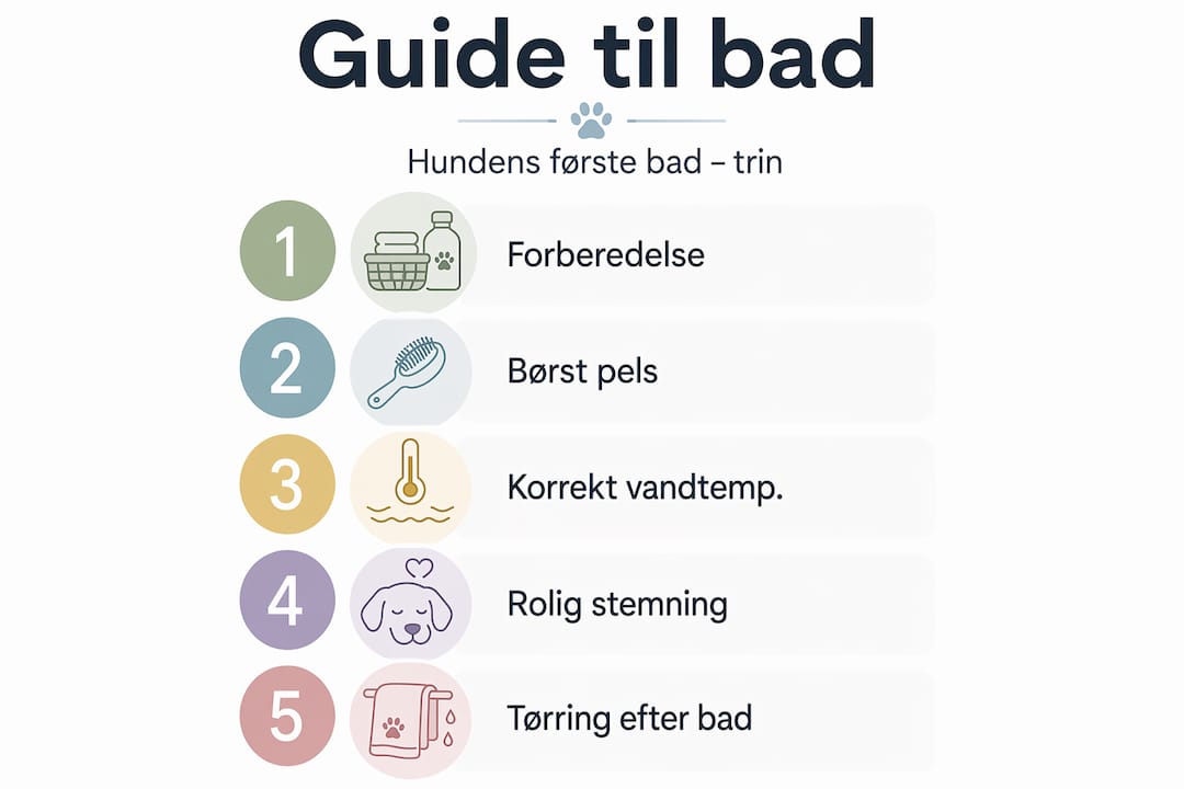 Guide: Sådan giver du din hund et bad – fem nemme trin