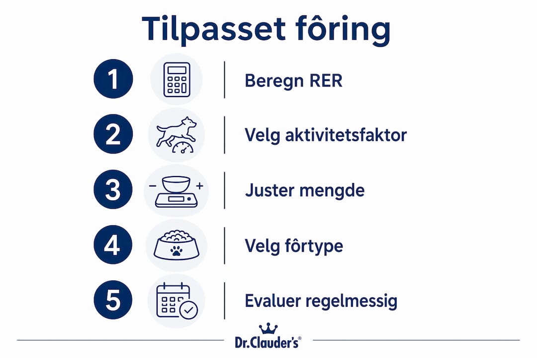 Infografikk som forklarer hvordan du kan tilpasse fôringen av hunden din etter hvor aktiv den er, trinn for trinn.