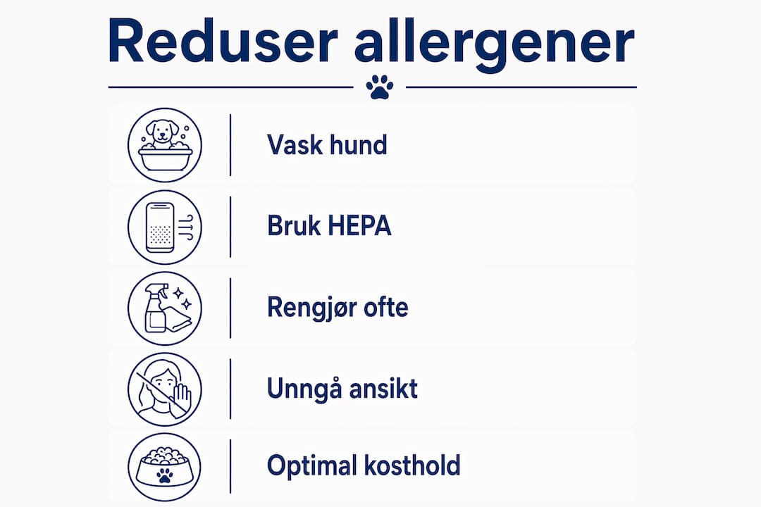 Infografikk: Slik kan du redusere hundeallergener i hjemmet ditt – trinn for trinn