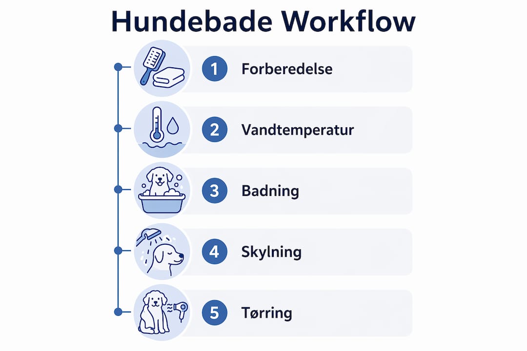 Infografik, der viser de enkelte trin i, hvordan du bader din hund
