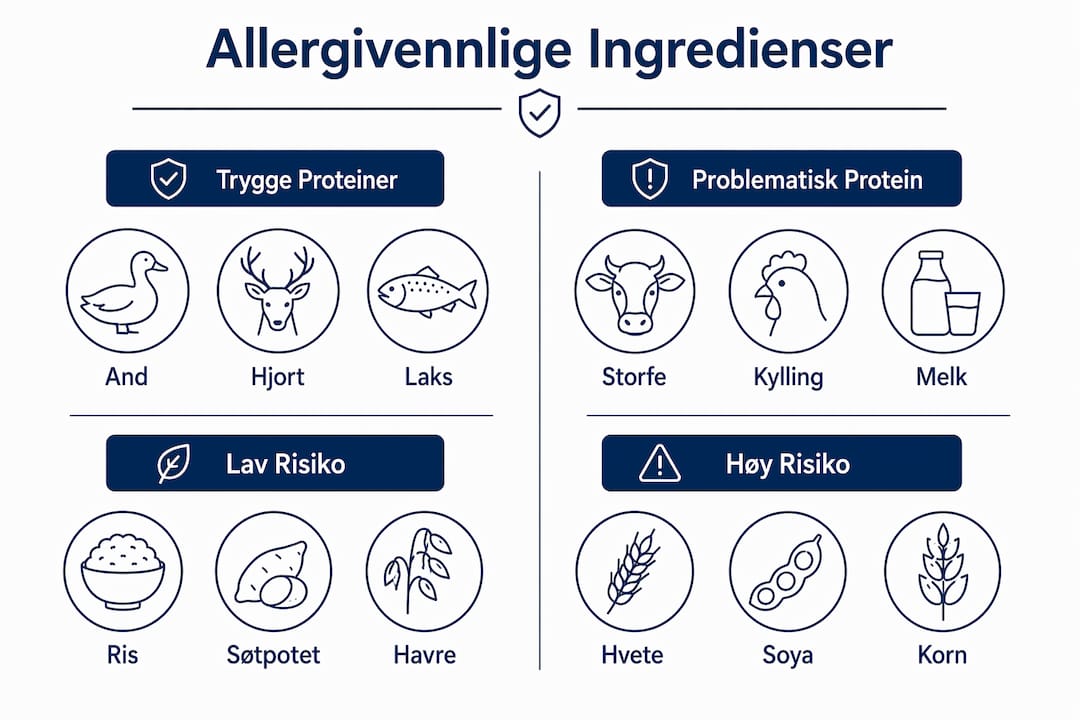 Illustrasjon som viser hvilke ingredienser som er trygge for allergikere, og hvilke som kan gi problemer