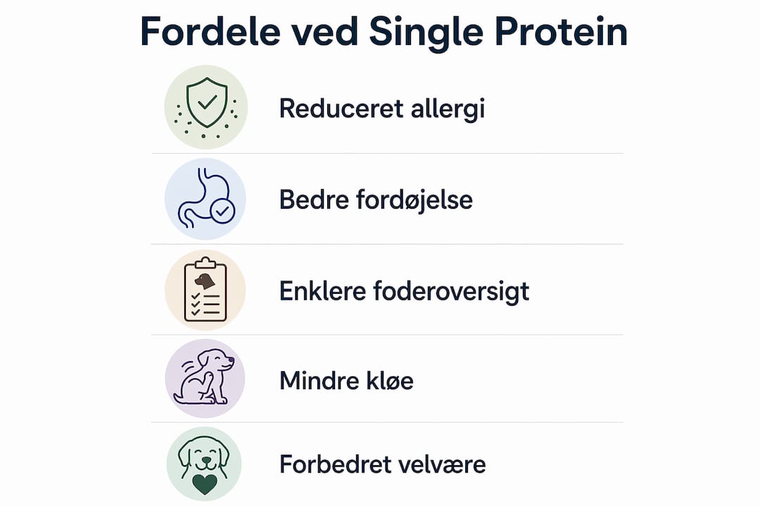 Oversigt: Derfor er foder med én proteinkilde et godt valg