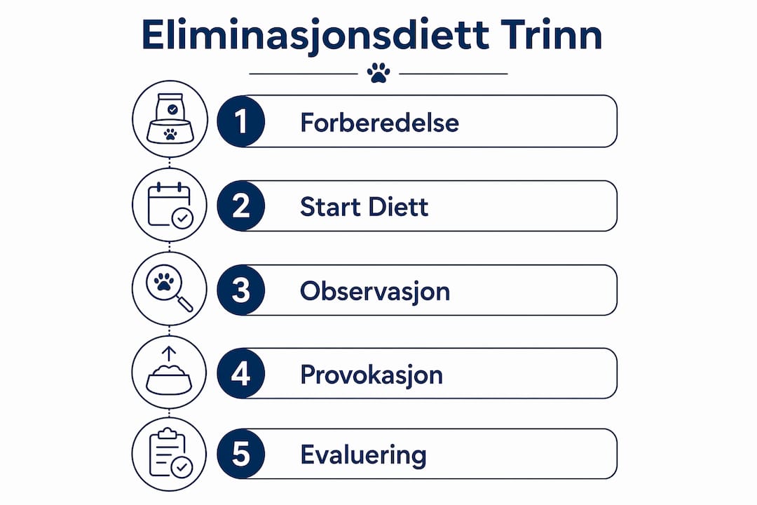 Infografikken gir en oversikt over stegene i en eliminasjonsdiett