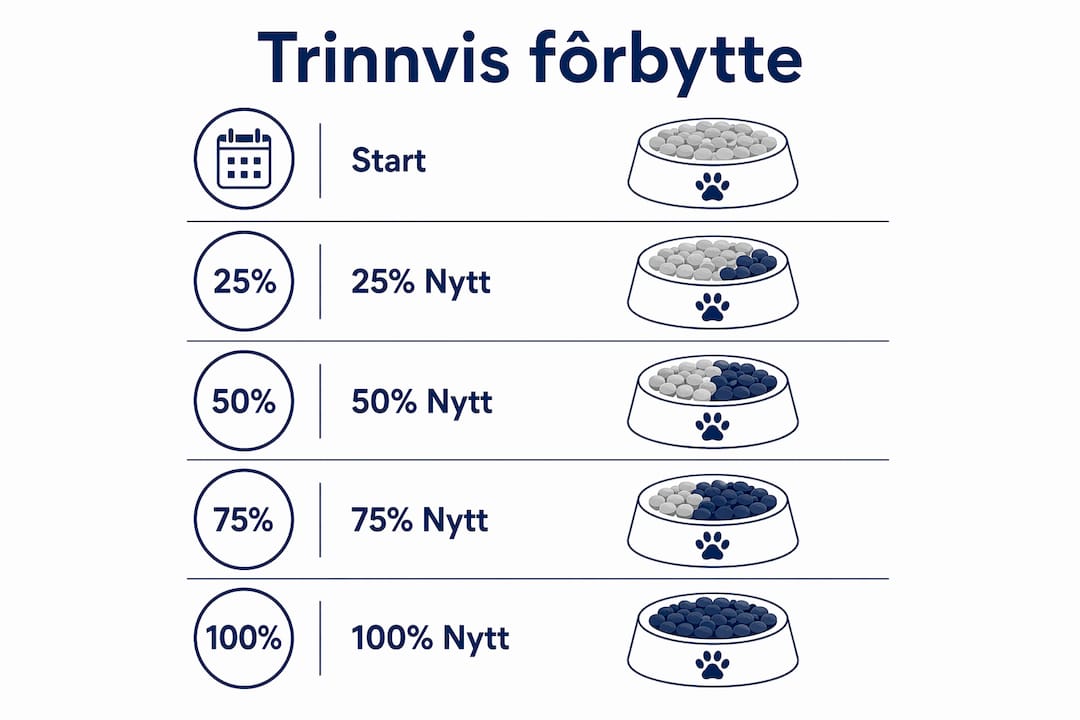 Se hvordan du gradvis kan bytte til ny hundemat – steg for steg forklart i infografikken.