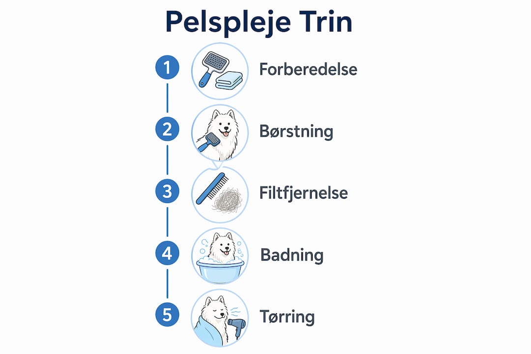 Overskuelig infografik, der guider dig gennem pelsplejen trin for trin