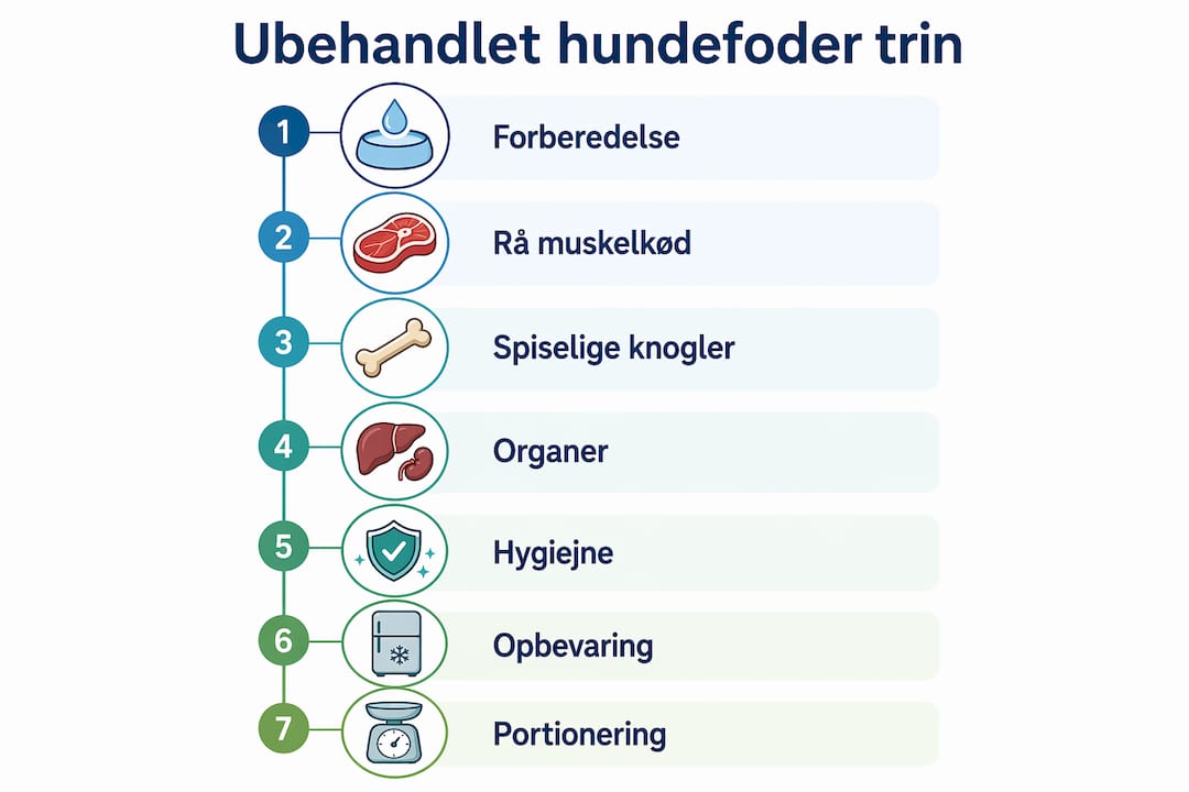 Grafik: Sådan sammensætter du råt hundefoder korrekt – trin for trin
