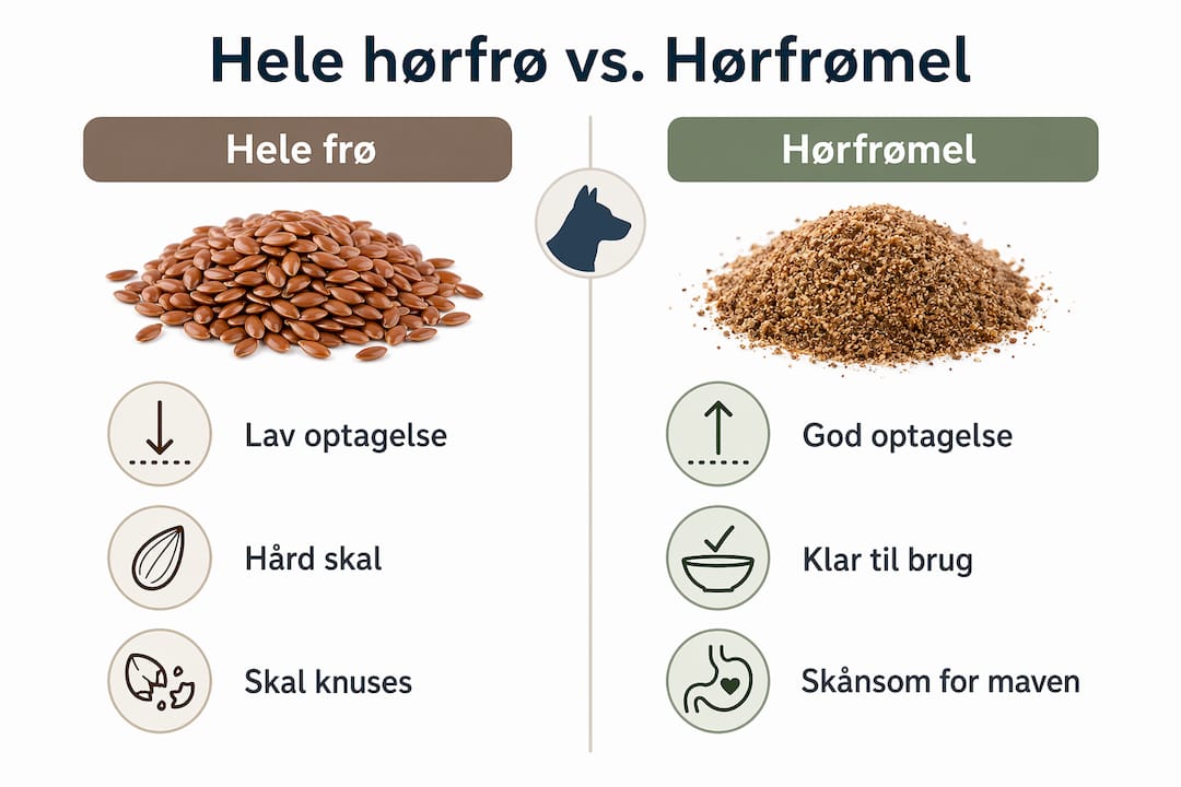 Infografik: Fordele og forskelle ved at bruge hele hørfrø eller hørfrømel i hundemad