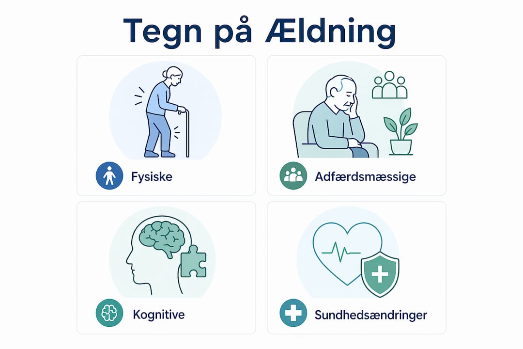 Infografik: Sådan spotter du alderstegn hos ældre hunde