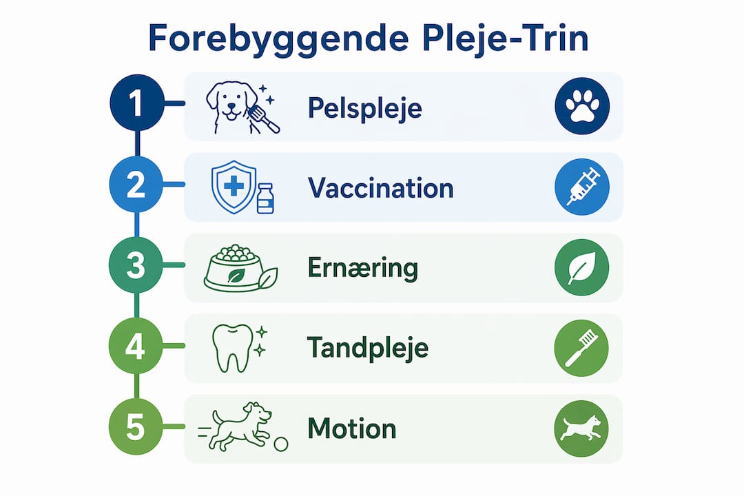 Infografik med trin-for-trin guide til forebyggende pleje