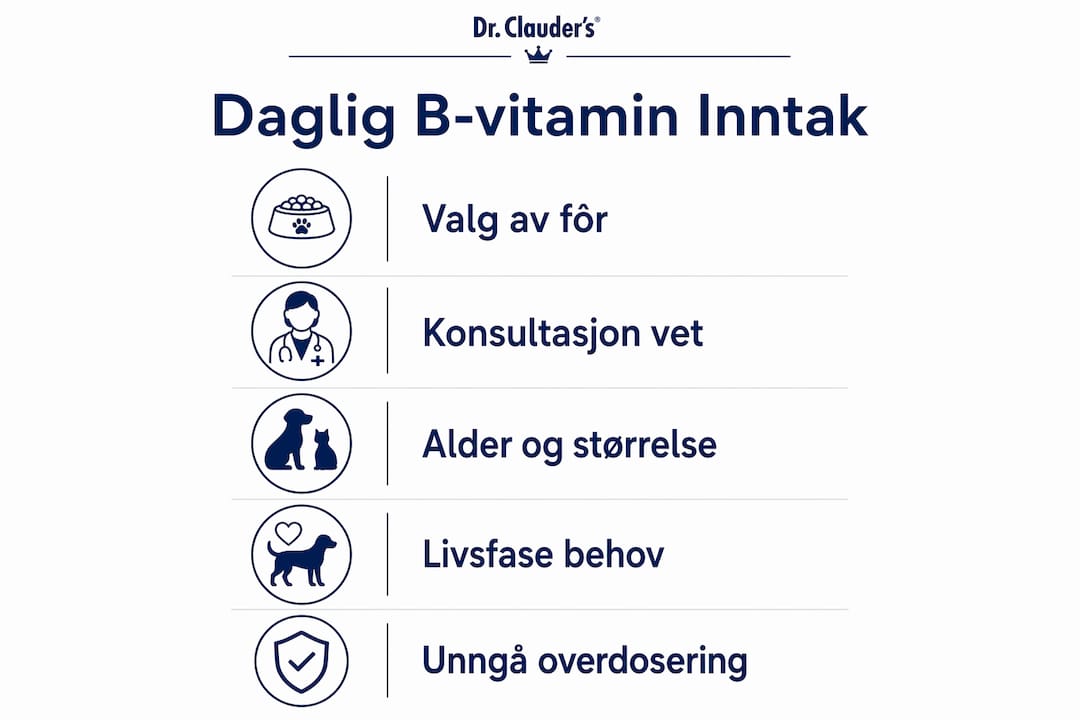 Oversikt: Anbefalt daglig mengde B-vitaminer for hunder
