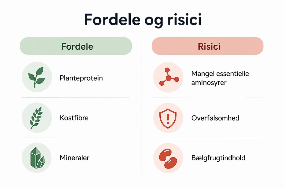 Infografik: Fordele og ulemper ved at bruge bælgfrugter i hundemad
