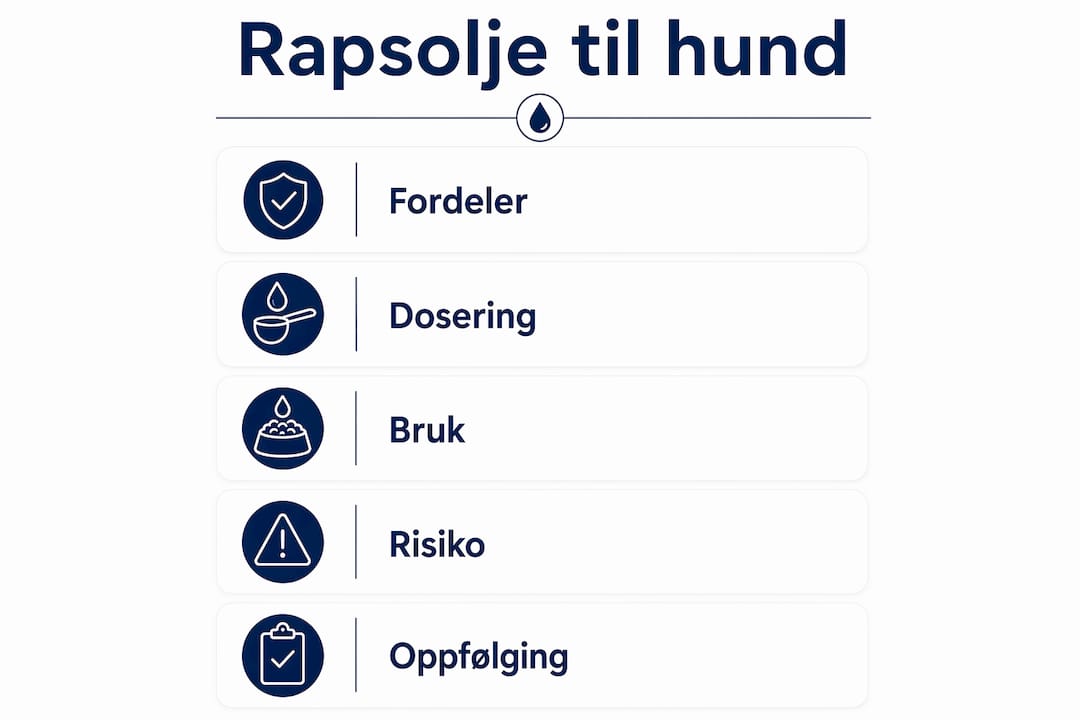 Oversikt: Fordeler med rapsolje for hunder og anbefalt mengde