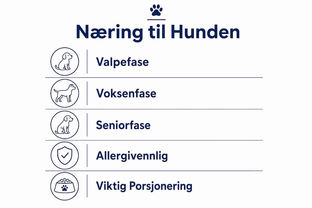 Infografikk som viser hvilke næringsbehov hunden har i ulike livsfaser
