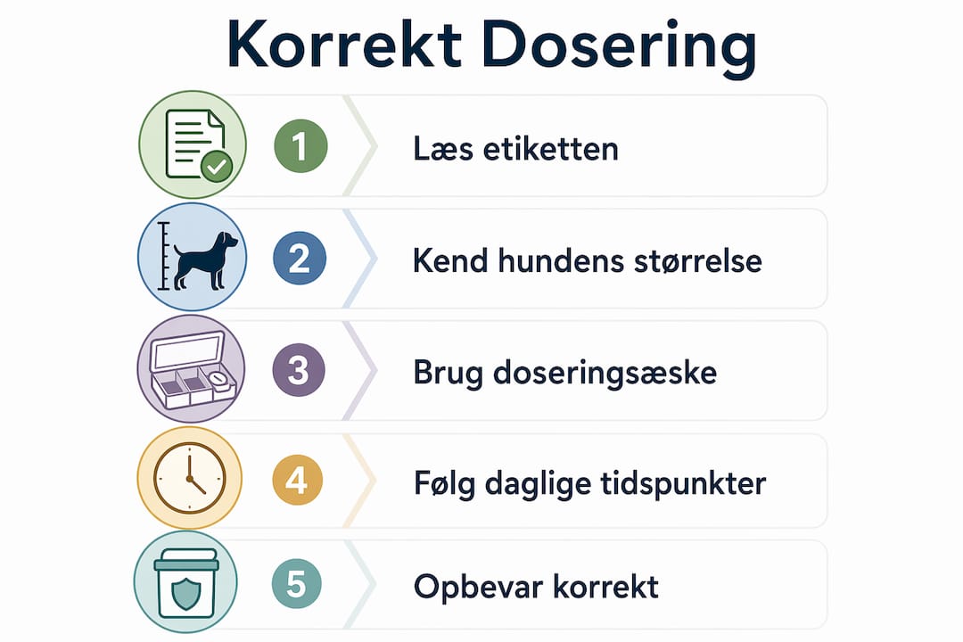 Guide: Sådan doserer du hundens kosttilskud korrekt – trin for trin i infografik