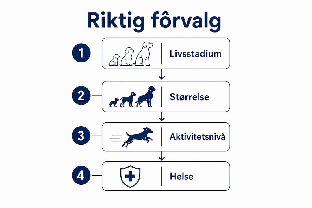 Infografikk: Slik velger du fôr – fire enkle steg