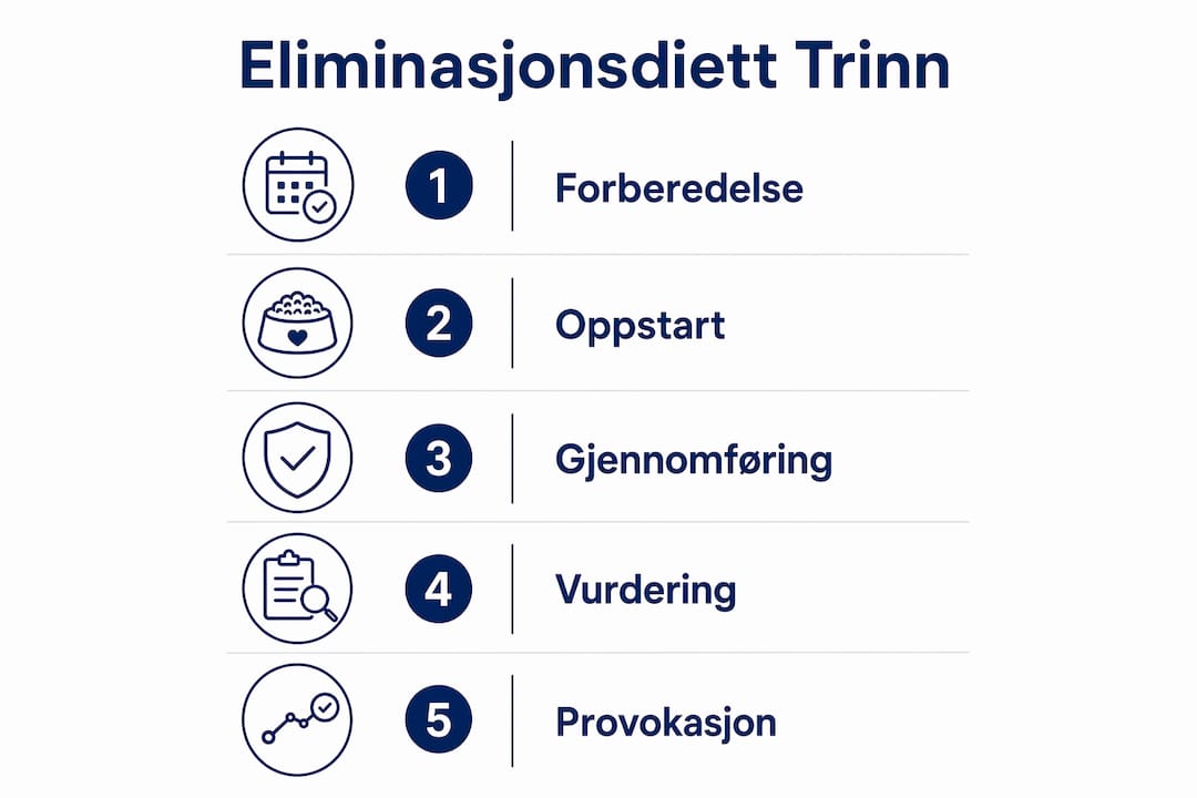 Oversikt: Slik gjennomfører du en eliminasjonsdiett – steg for steg